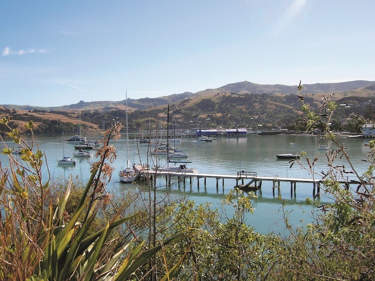 Akaroa Harbour