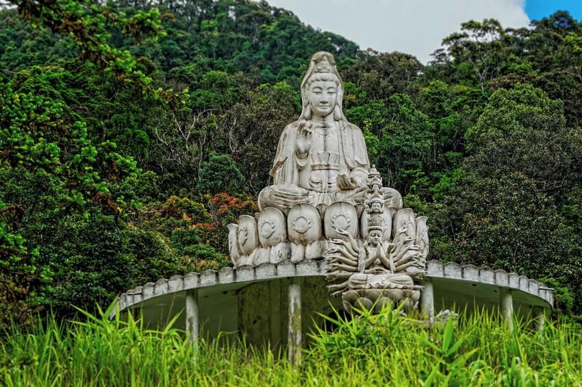 Full-day Bach Ma National Park Trekking from Da Nang