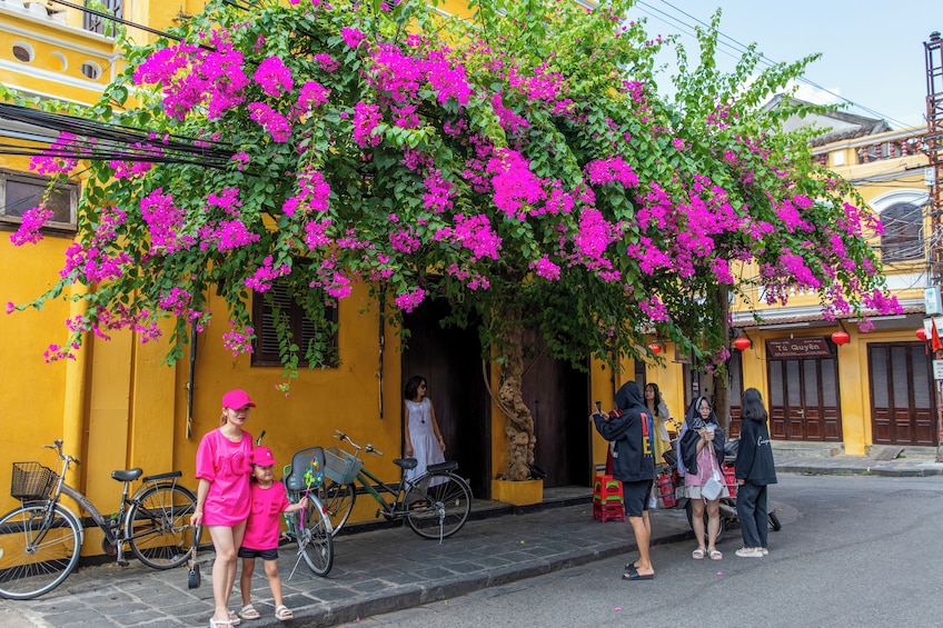 Full-day Hoi An old town & My Son Sanctuary from Hoi An