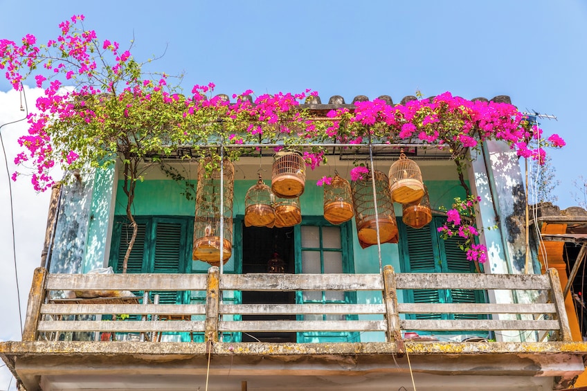 Full-day Hoi An old town & My Son Sanctuary from Hoi An