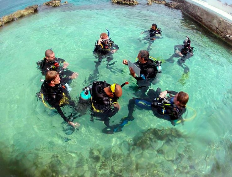 Cozumel Scuba Diving Course PADI 