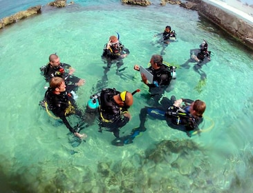 Cozumelin sukelluskurssi yhdessä päivässä