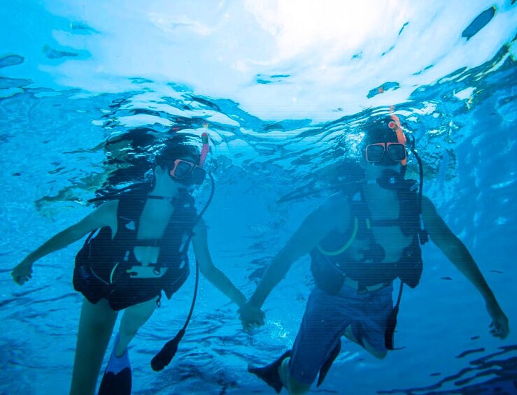 Cozumel Scuba Diving Course PADI