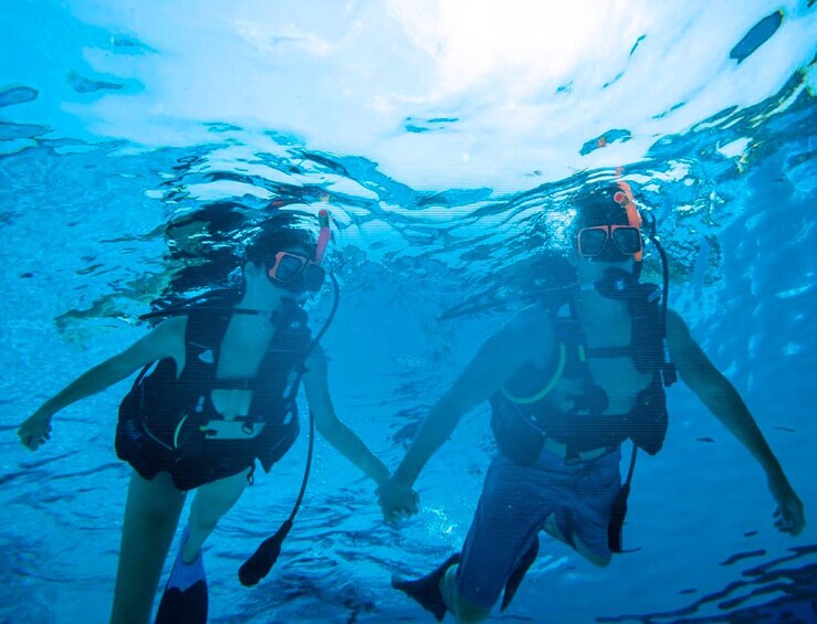 Cozumel Scuba Diving Course PADI 