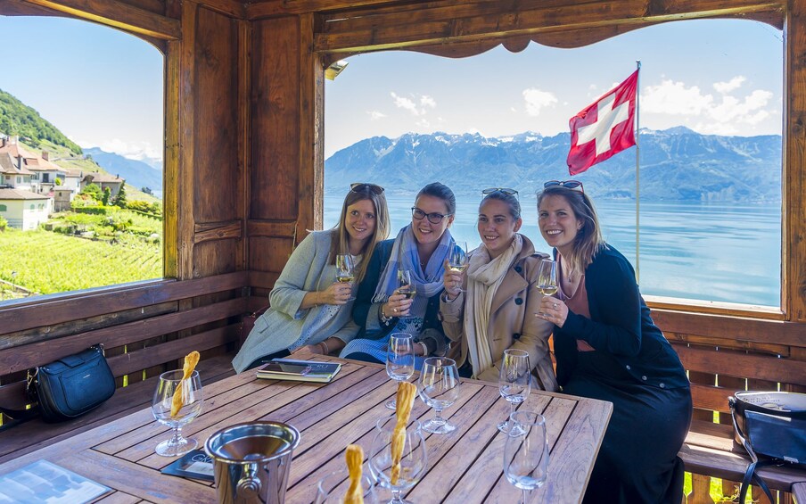 Panoramic Wine Tour in Lavaux