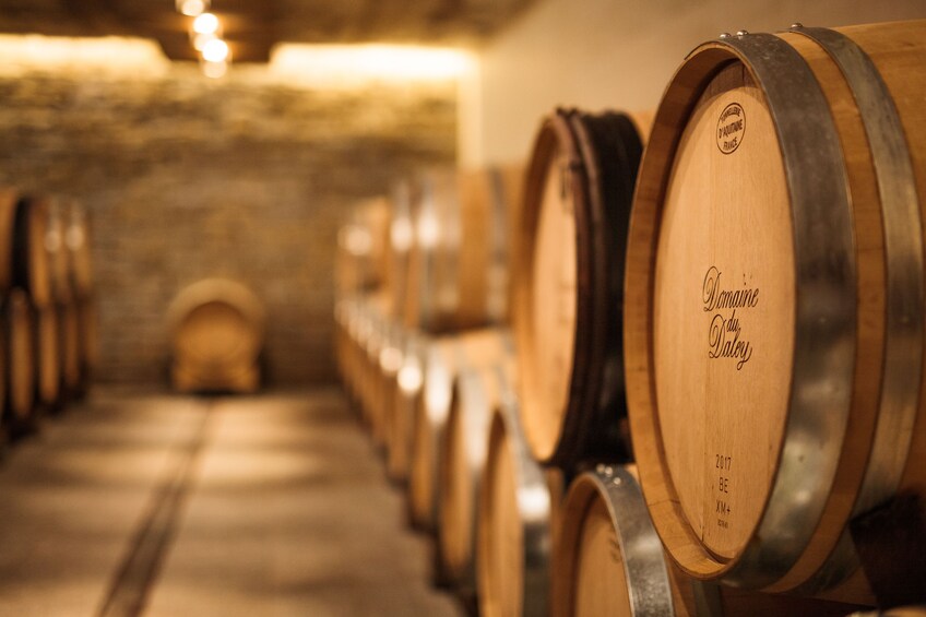 Panoramic Wine Tour in Lavaux