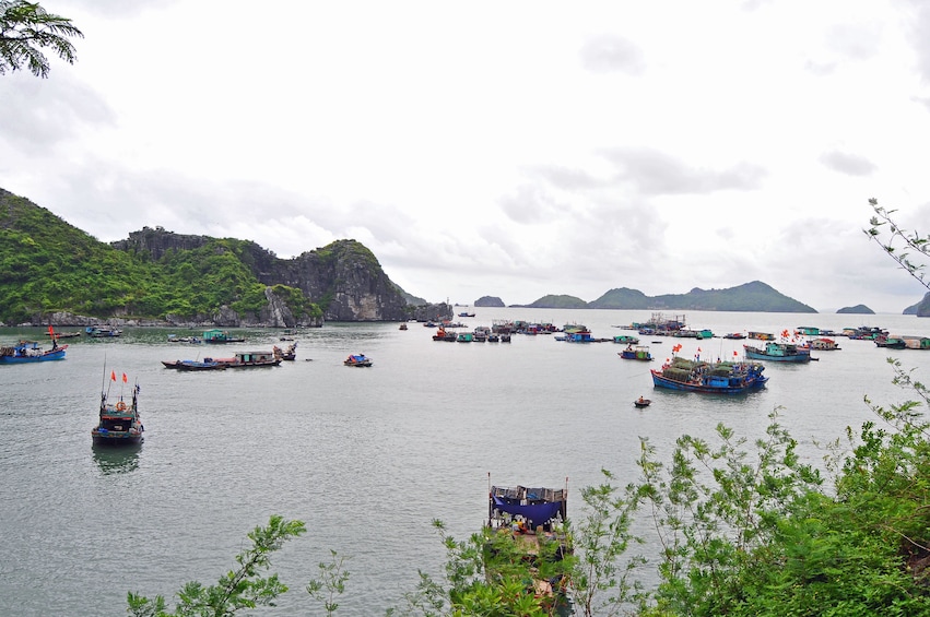 Full-day Explore Cat Ba Island from Ha Long