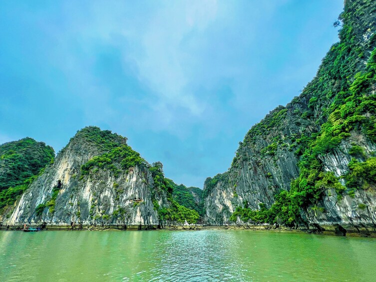 Full-day Ha Long Bay from Ha Noi