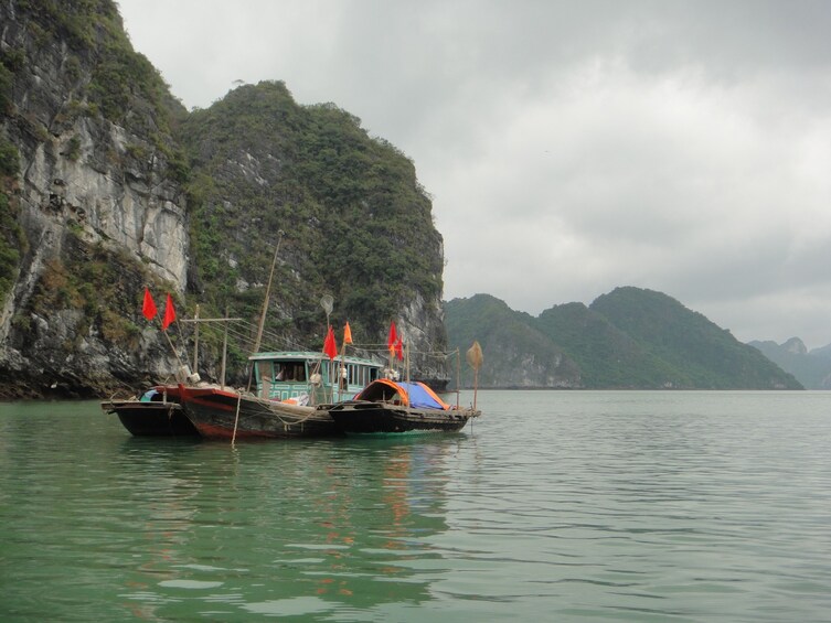 Full-day Ha Long Bay from Ha Noi