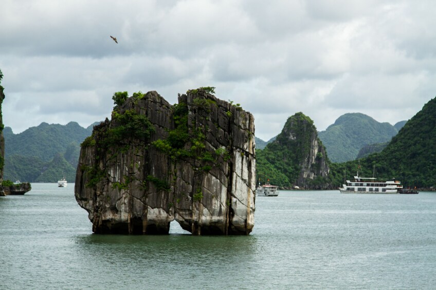 Full-day Ha Long Bay from Ha Noi