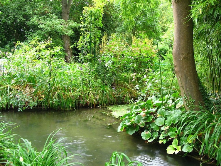Giverny Monet's House Day Trip from Paris