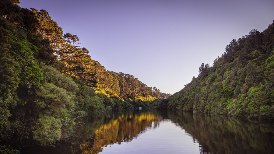 Zealandia Twilight Tour