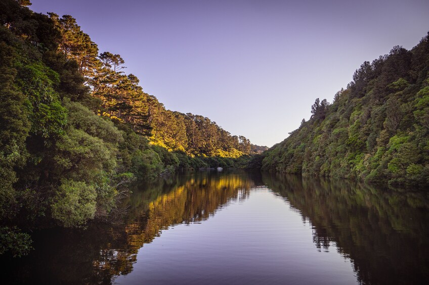 zealandia twilight tour