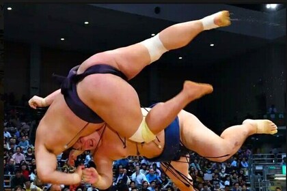 Explore Sumo Culture: GRAND SUMO TOURNAMENT