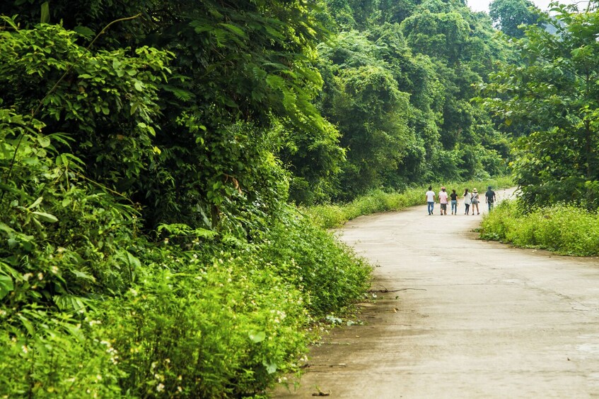 Full-day Cuc Phuong National Park Tour from Ha Noi