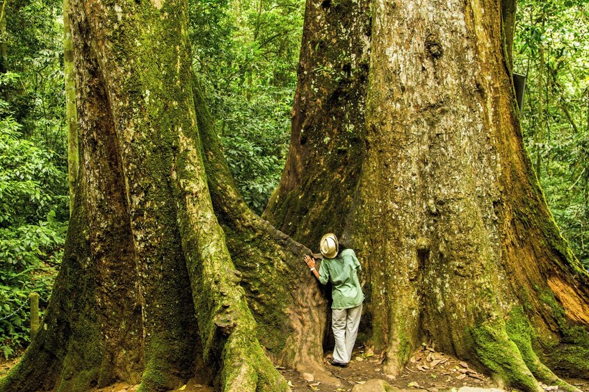 Full-day Cuc Phuong National Park Tour from Ha Noi