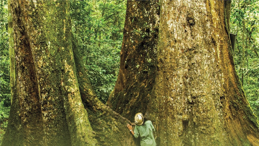 Ha Noi: Full-day Cuc Phuong National Park Eco-adventure