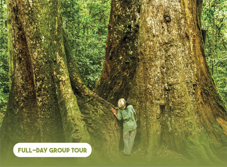 Ha Noi: Full-day Cuc Phuong National Park Eco-adventure