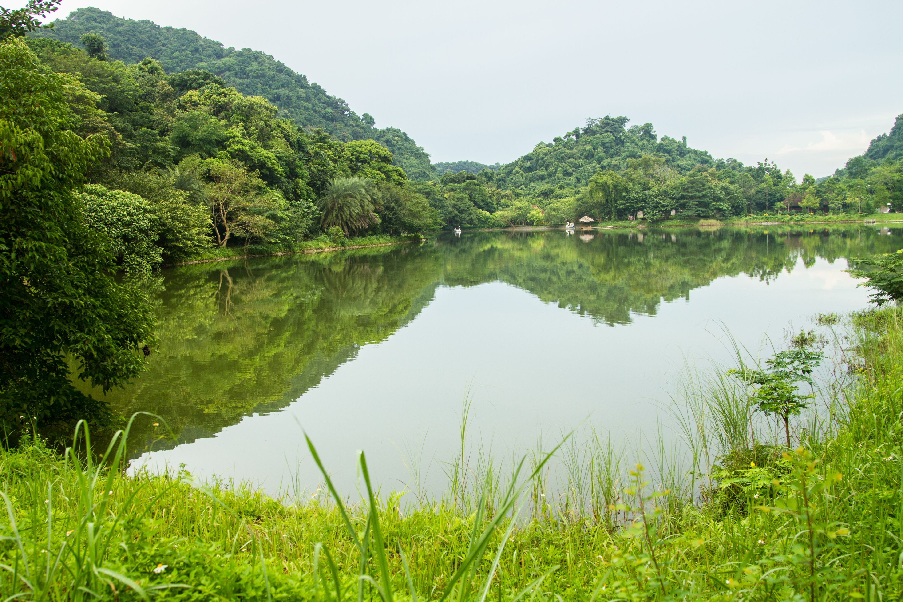 Full-day Cuc Phuong National Park Tour From Ha Noi