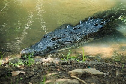 Puerto Angel Exotic Animal Wildlife Experience