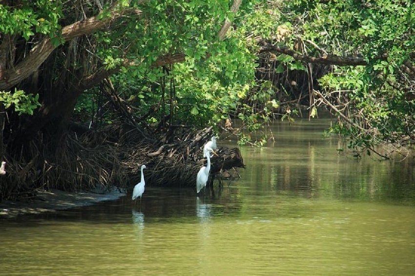 Puerto Angel Exotic Animal Wildlife Experience