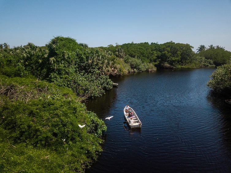 Puerto Angel Exotic Animal Wildlife Experience