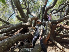 Cape Town: Fynbos Nature Walk