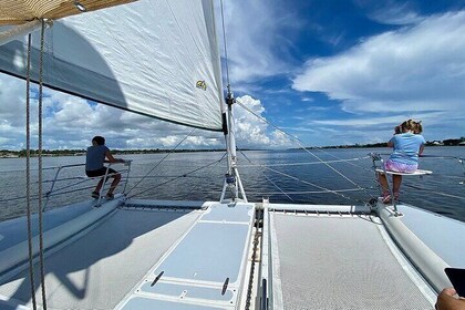 Observation des dauphins et des lamantins en catamaran à Daytona Beach