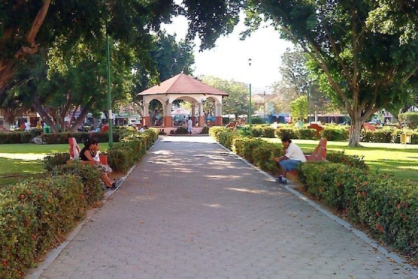 Premium Shore Excursion & Local Culture Tour