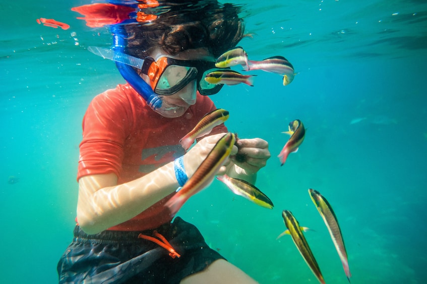 Speedy Snorkel Experience