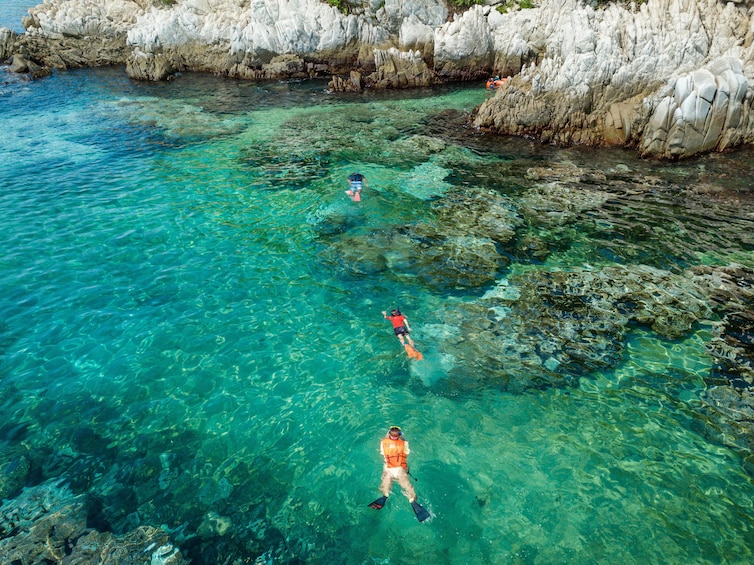 Speedy Snorkel Experience