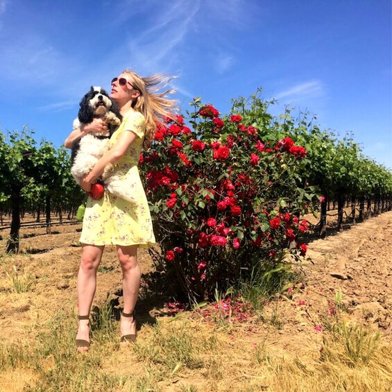 VIP Driver for a Safe & Fun Wine Tasting Tour