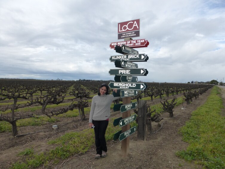 VIP Driver for a Safe & Fun Wine Tasting Tour