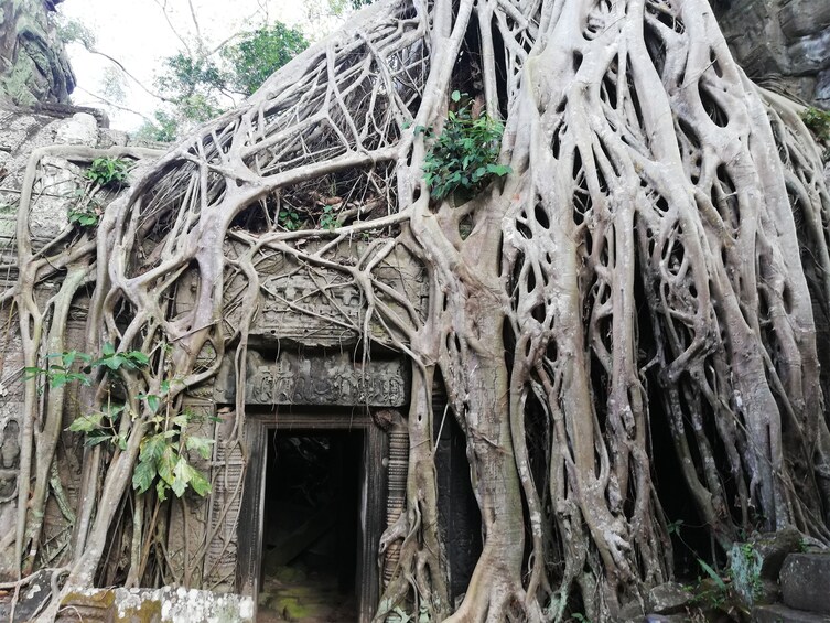 2 Days Angkor Wat and Other Temples Tour