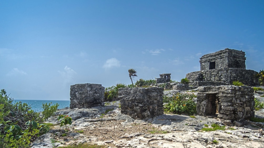 Tulum, Coba, & Cenote: Full-Day Tour