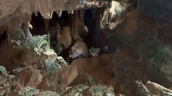 cave tour