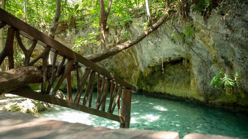 Tulum and Cenotes Guided Tour