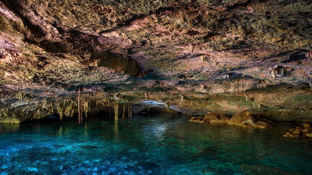 Tulum and Cenotes Guided Tour