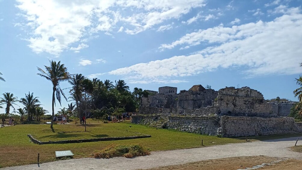 Tulum and Cenotes Guided Tour