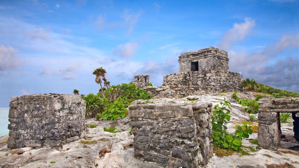 Tulum and Cenotes Guided Tour