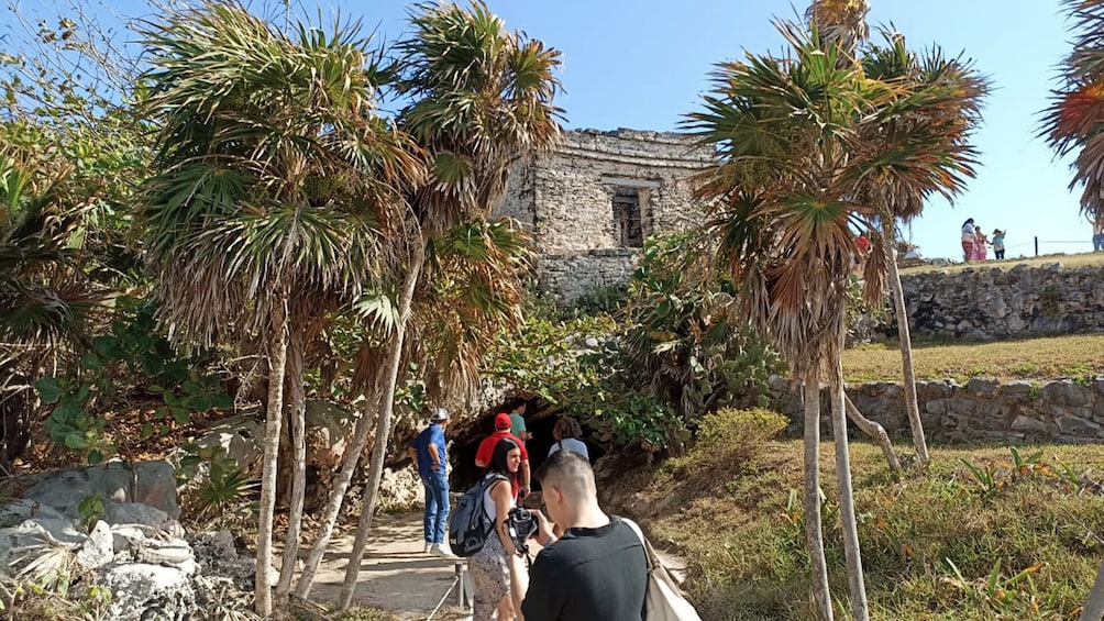 Tulum and Cenotes Guided Tour