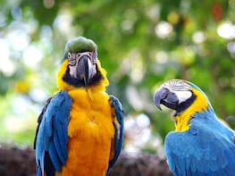 Wonderful Amazon: Nanay, Momon and Amazon River full day