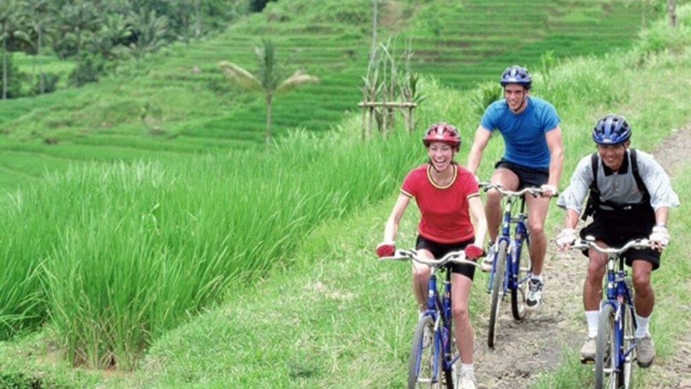 Bali UNESCO Heritage Site: Jatiluwih Rice Paddy Cycling Tour