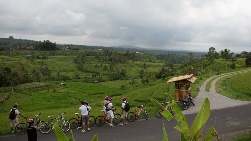Bali UNESCO Heritage Site: Jatiluwih Rice Paddy Cycling Tour
