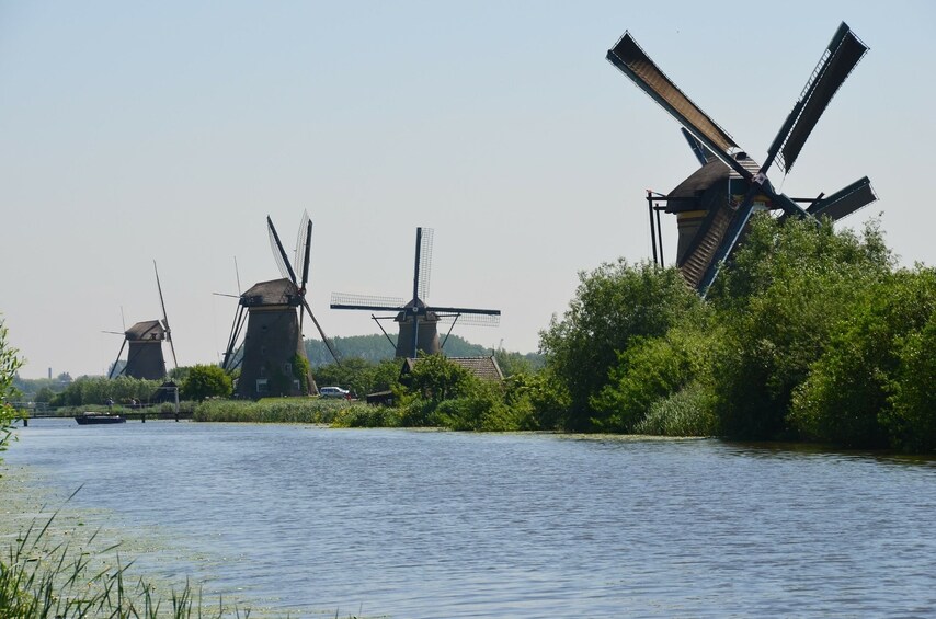 Half-Day Sightseeing in Amsterdam