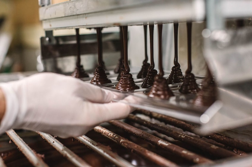 Be Charlie for a Day on the Manoa Chocolate Factory Tour!