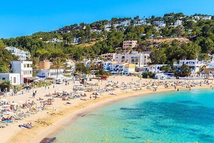Ibiza by yourself with English Speaking driver by minivan 4, 8 or 12 hr disposal