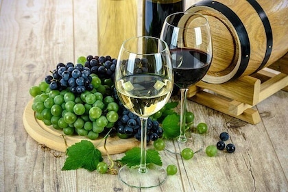 Tasting at Valle de Uco, Mendoza, Wineries with Private Sedan
