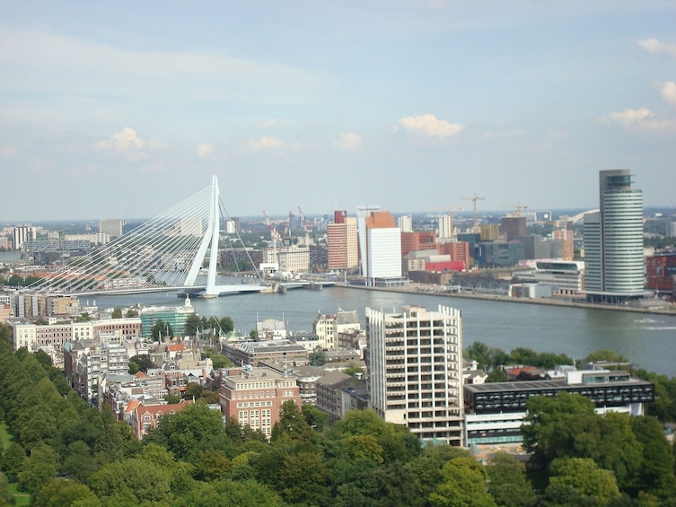 Day Trip to Rotterdam from Amsterdam
