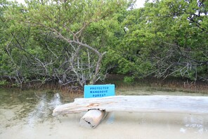 Trip to sorobon beach